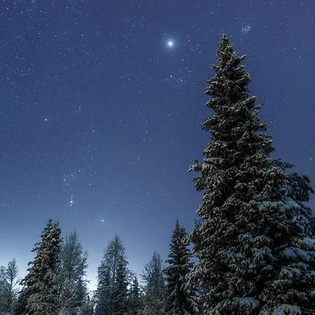 Rukakorpi 5 By In Lapland
